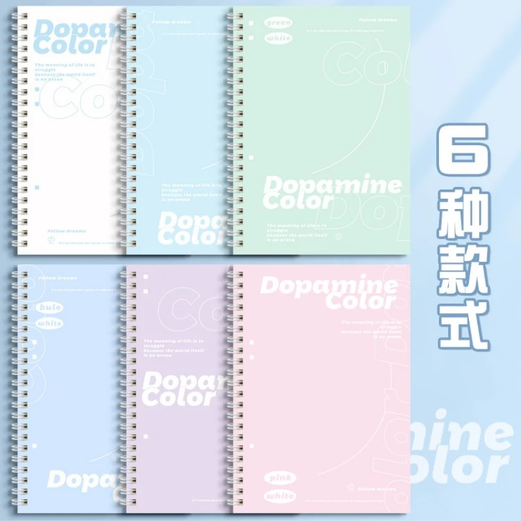 Additional JOYPAPER notebook option